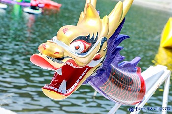 No Dragon Boat, No Dragon Boat Festival |  The First International Dragon Boat Race at Yanqi Lake Successfully Held